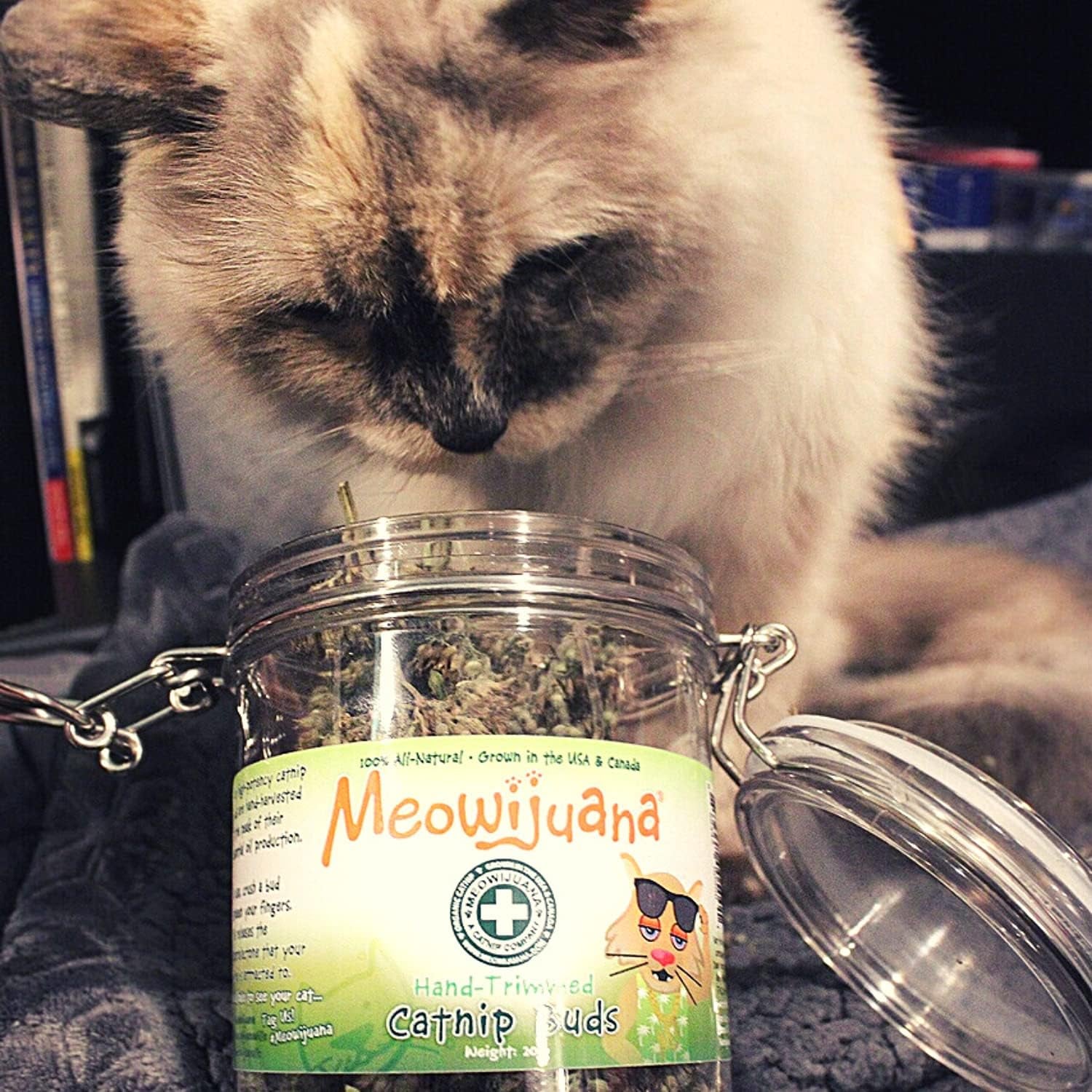 | Catatonic Bundle | Salmon Crunchie Munchies, Jar of Catnip Buds, and Catnip Bubbles | Organic | Grown in the USA | Promotes Play and Cat Health | Feline and Cat Lover Approved