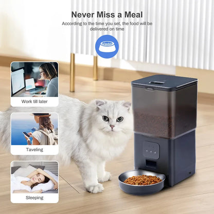6L Automatic Pet Feeder Smart Food Dispenser for Cats Dogs Timer Stainless Steel Bowl Auto Dog Cat Pet Feeding Pet Supplies